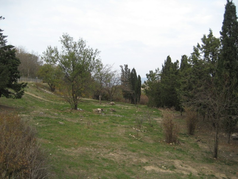 ahmatova_nekropol_21.JPG