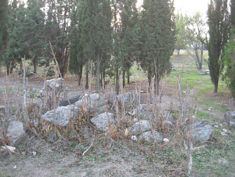 ahmatova_nekropol_26.JPG