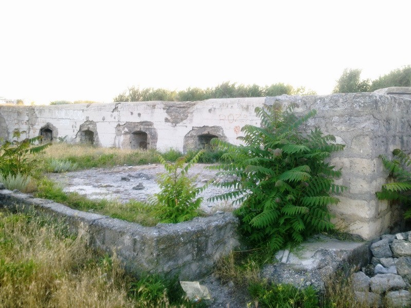 12_13_42.jpg