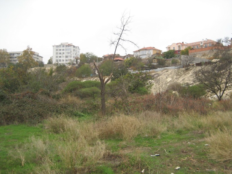 1_141.JPG