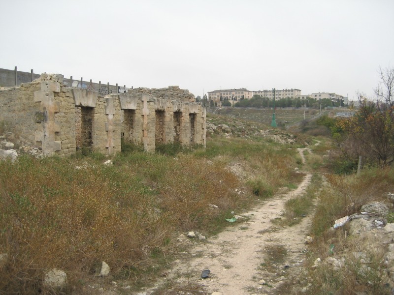 1_146.JPG