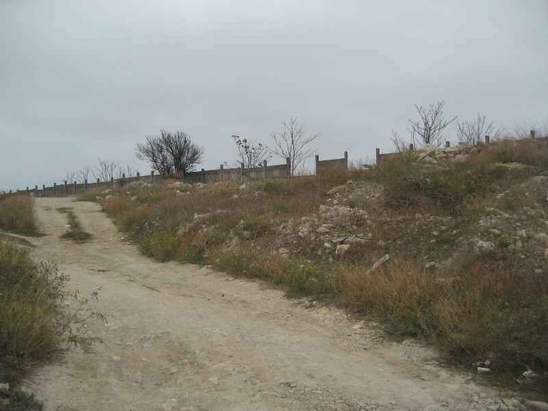 1_154.JPG