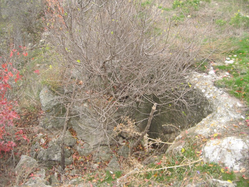 1_164.JPG