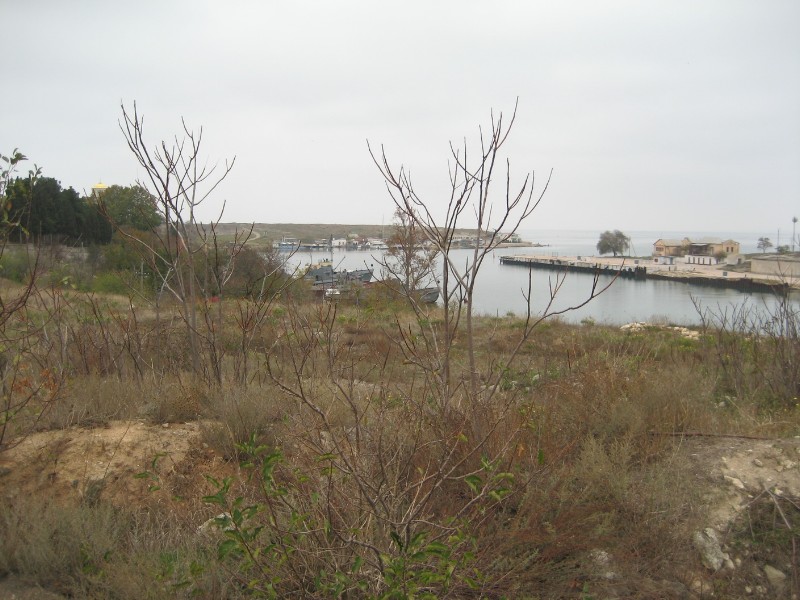 1_167.JPG
