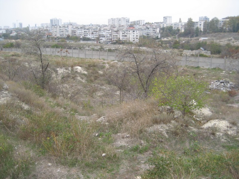 1_182.JPG