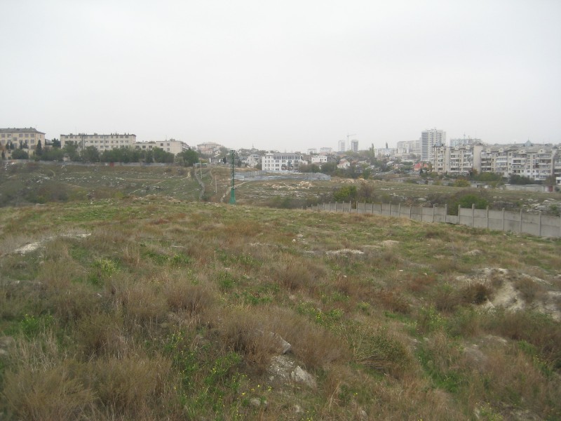 1_190.JPG