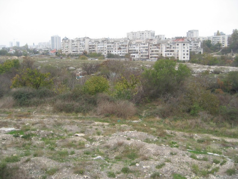 1_216.JPG