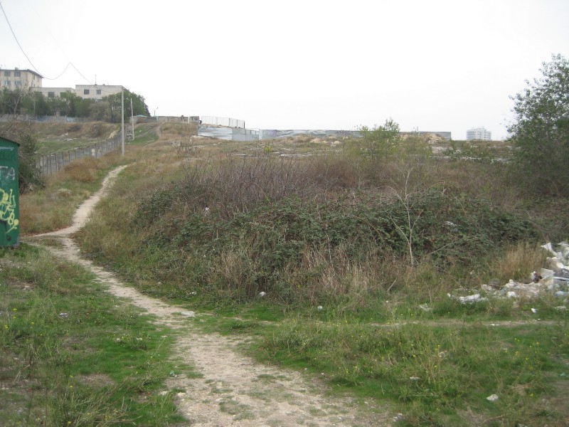 1_239.JPG