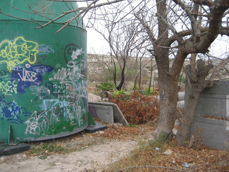 1_242.JPG