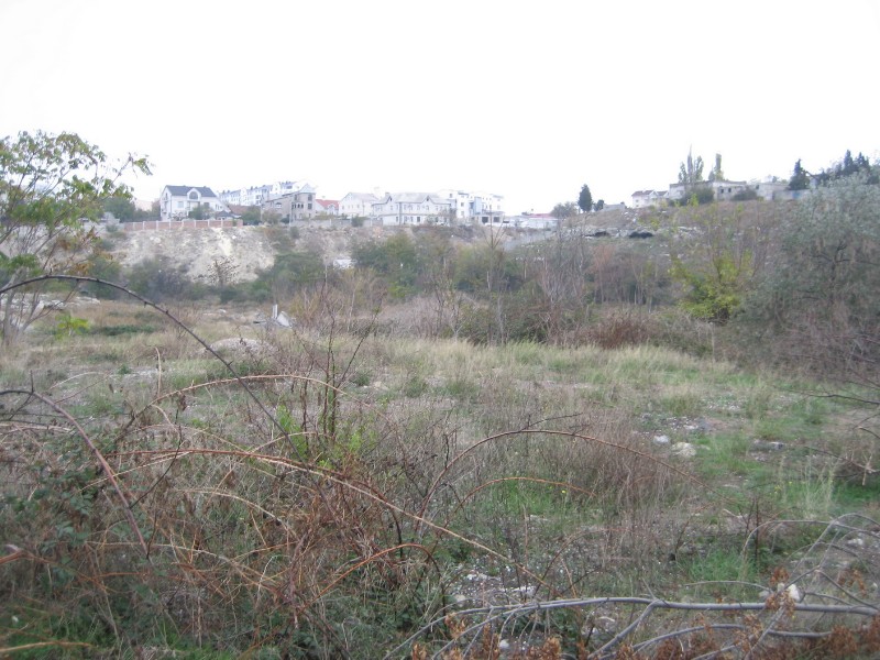 1_245.JPG