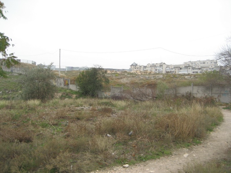 1_247.JPG