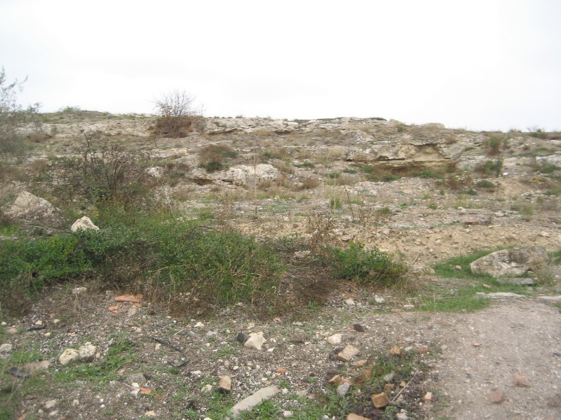 1_250.JPG