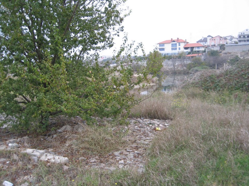 1_270.JPG