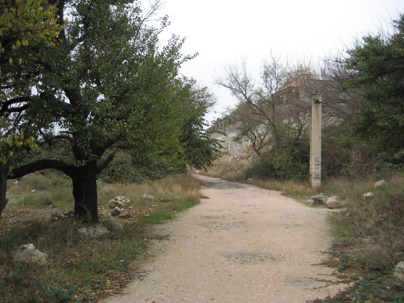 1_310.JPG