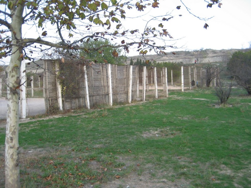 solnechniy_53.JPG