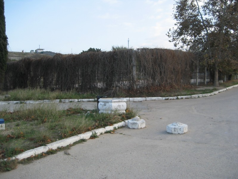 solnechniy_62.JPG