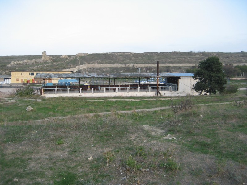 solnechniy_113.JPG