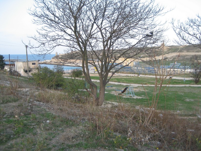 solnechniy_132.JPG