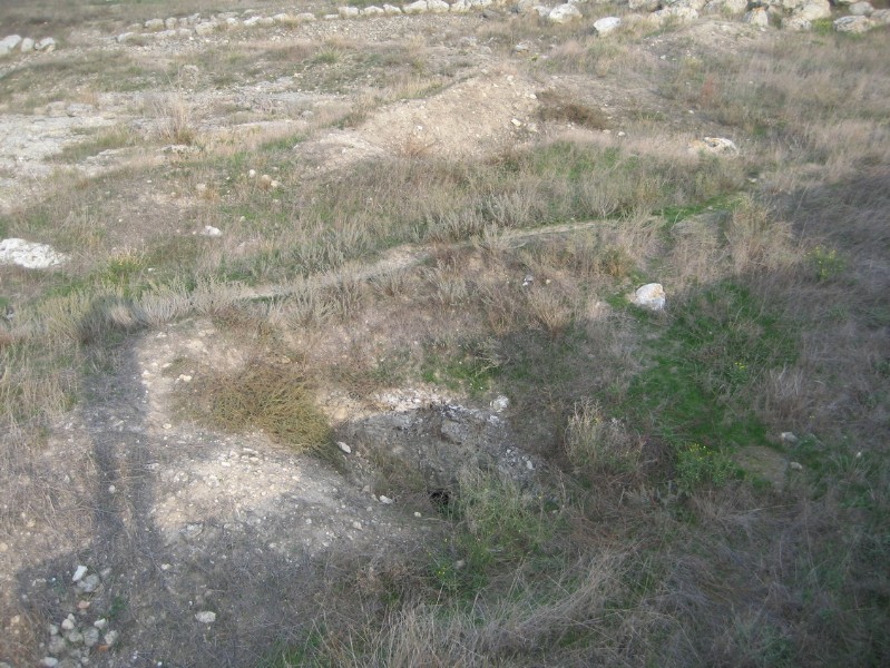 western_hersones_16.JPG