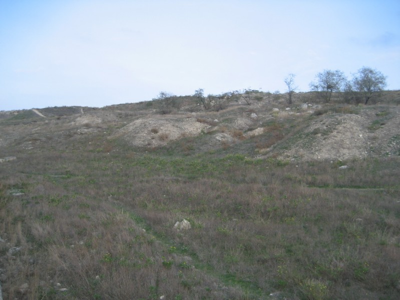western_hersones_18.JPG