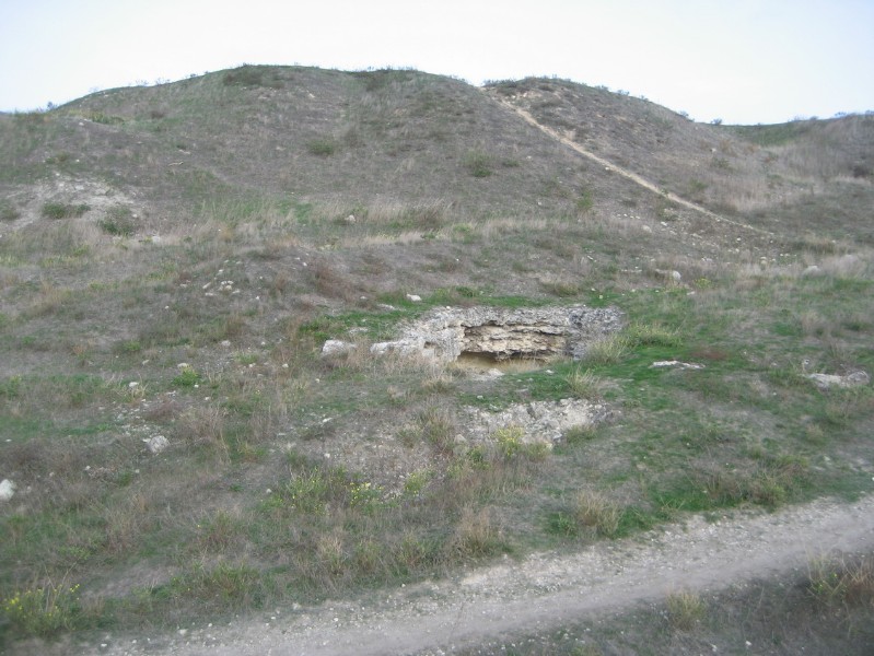 western_hersones_23.JPG