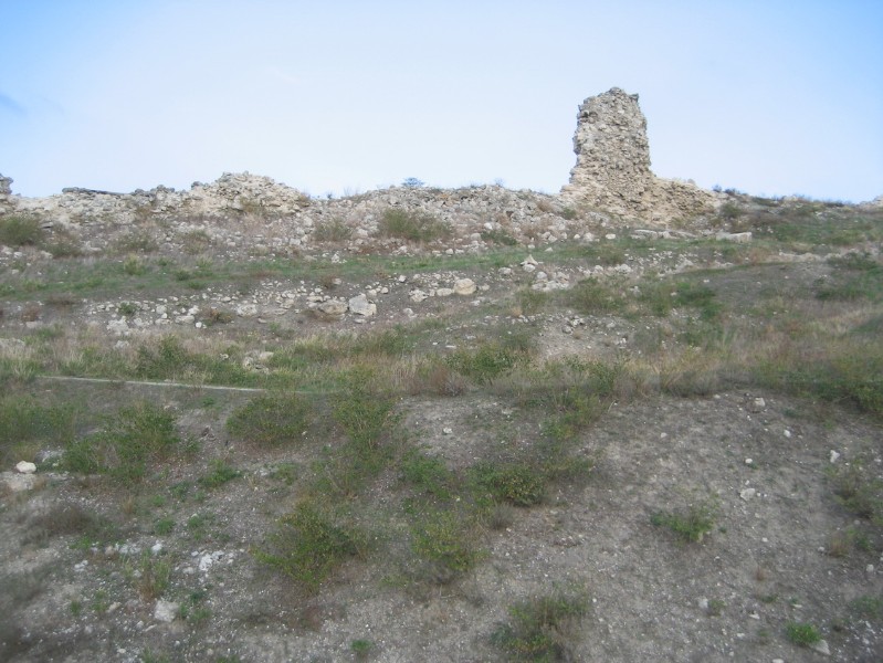 western_hersones_24.JPG