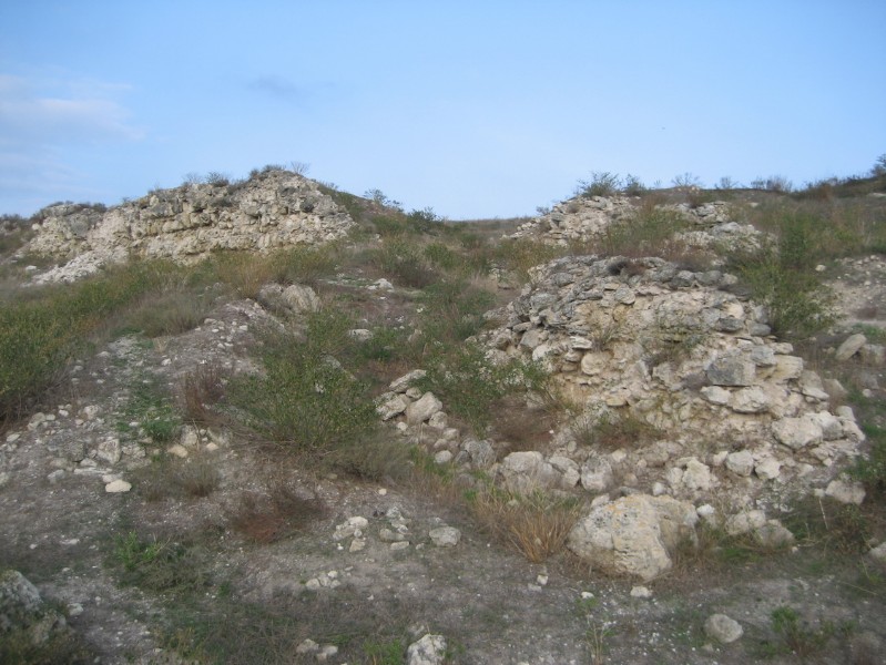 western_hersones_27.JPG