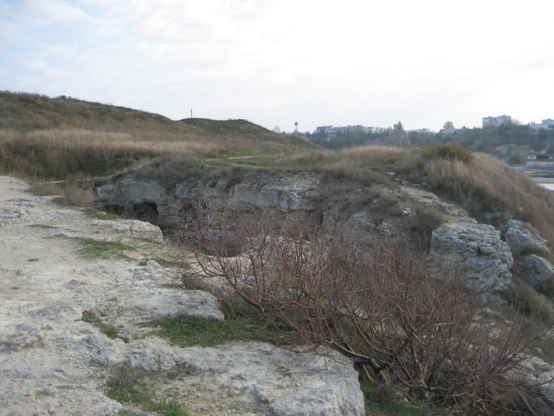 western_hersones_49.JPG