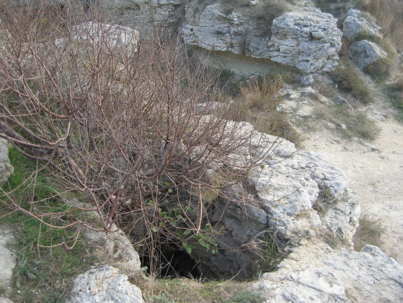 western_hersones_51.JPG