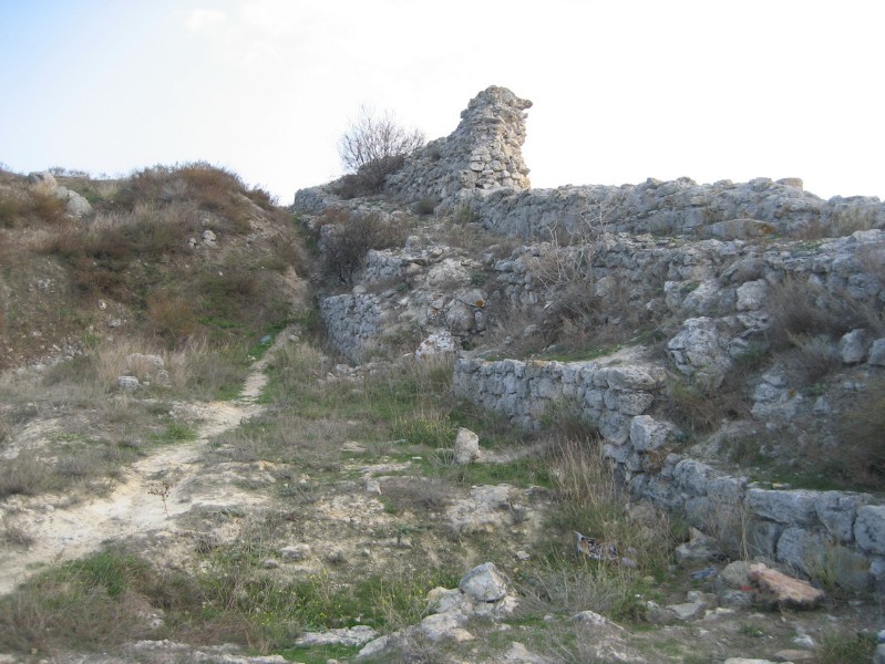 western_hersones_57.JPG