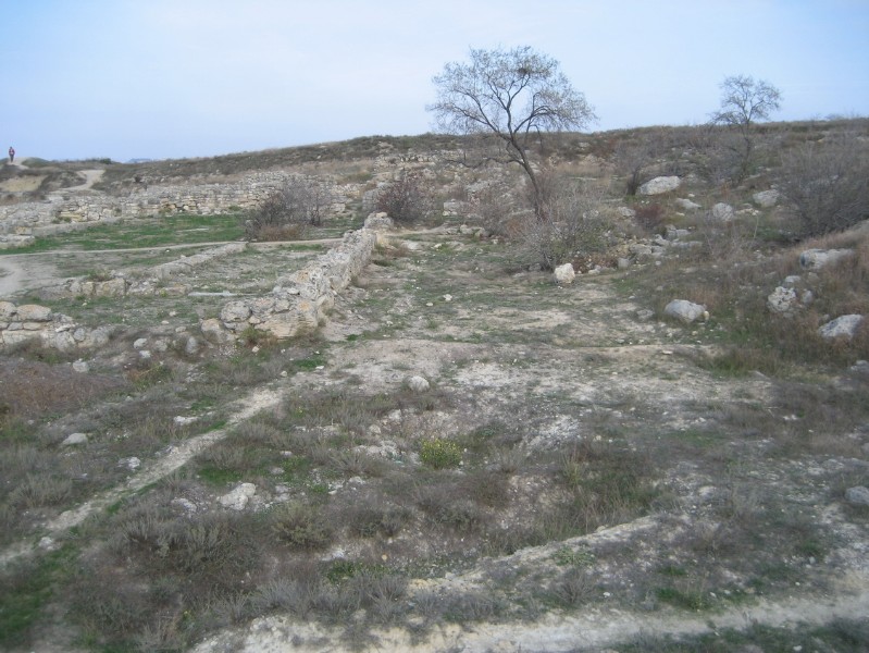 western_hersones_60.JPG