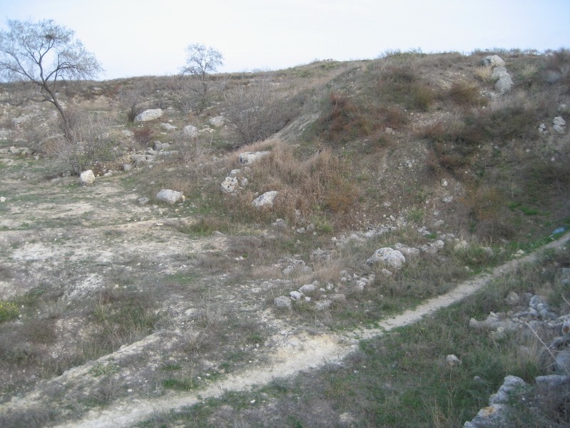 western_hersones_61.JPG
