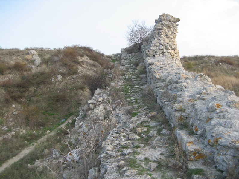western_hersones_64.JPG