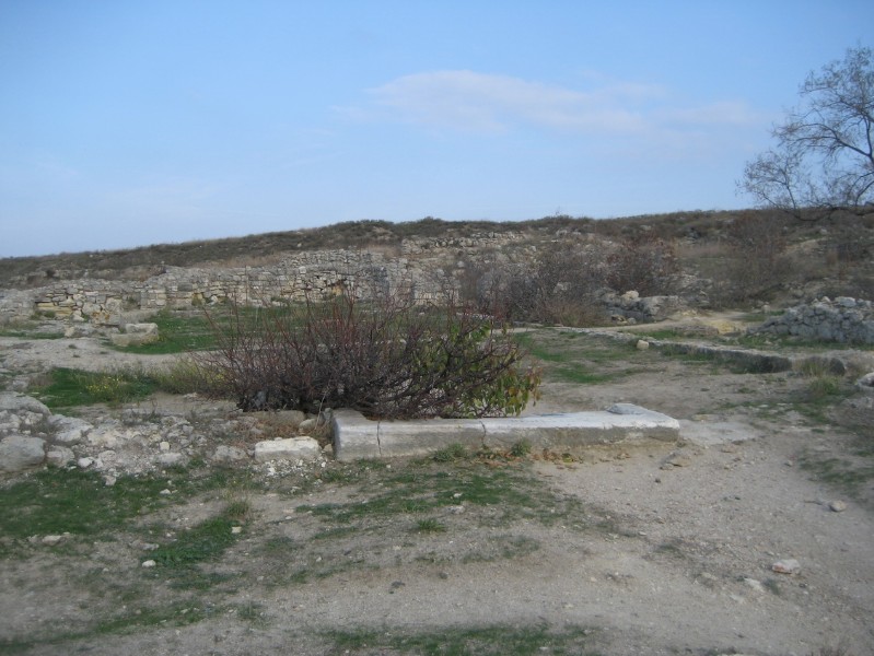 western_hersones_69.JPG