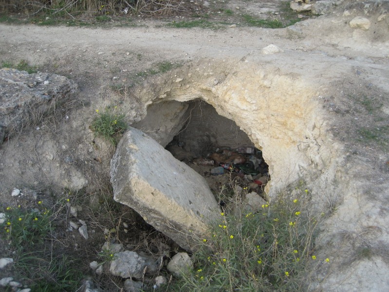 western_hersones_74.JPG