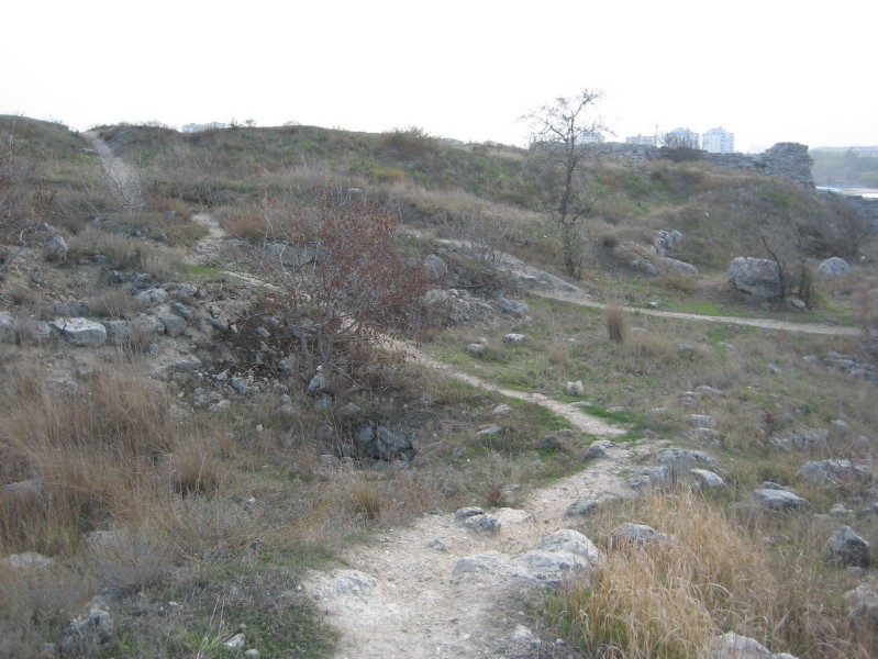 western_hersones_81.JPG