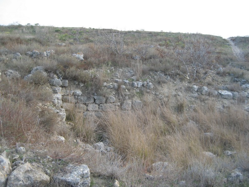 western_hersones_82.JPG