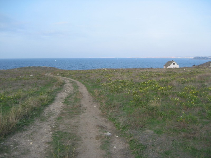 western_hersones_97.JPG