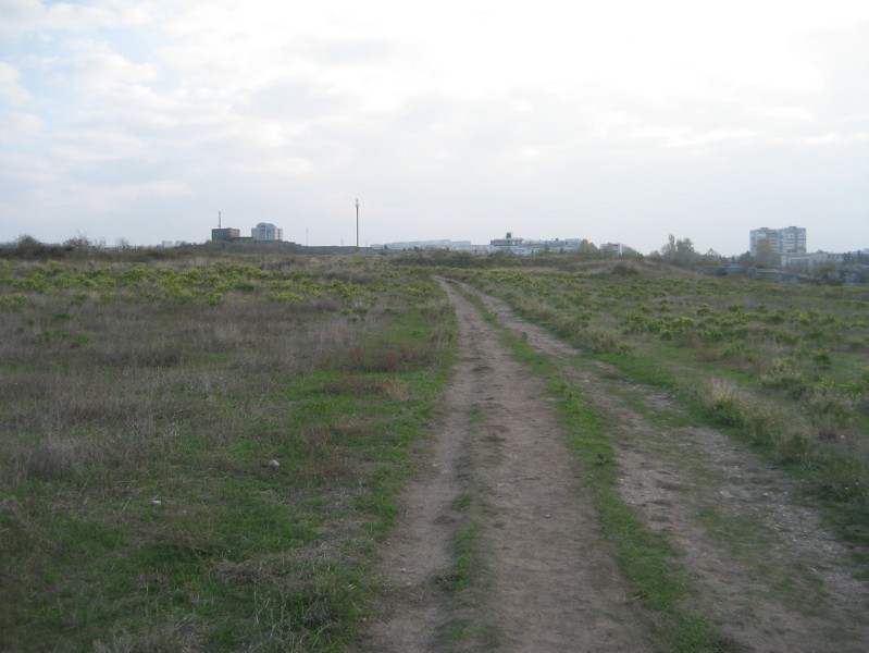 western_hersones_102.JPG