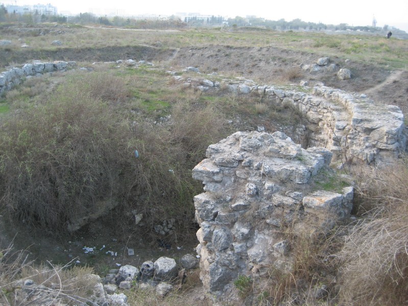 western_hersones_115.JPG